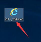 Internet Explorer 11(IE11)