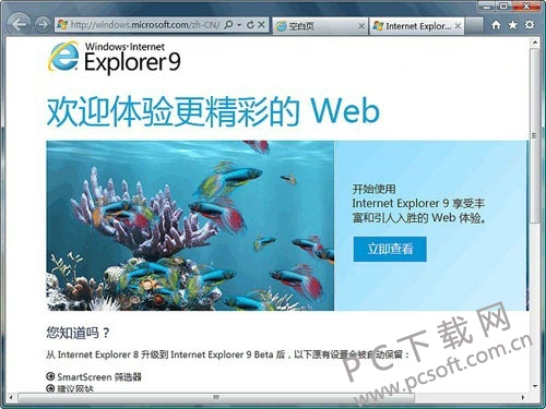 (IE9)Internet Explorer 9.0 