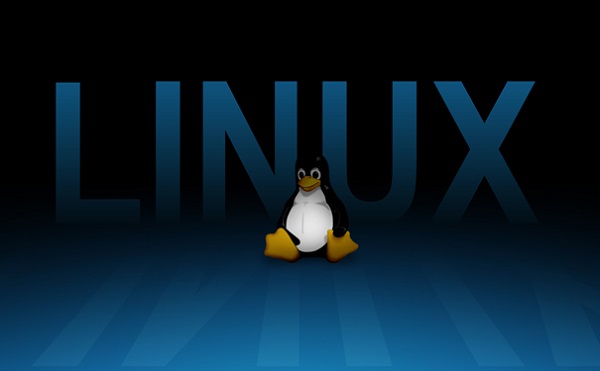 Linux Kernel5.8
