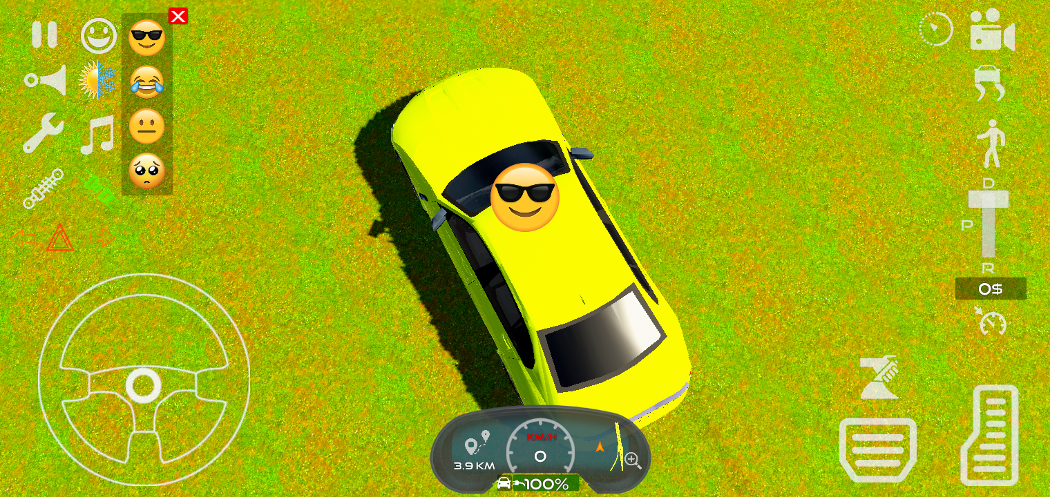 ŷʻģ(Real Car Driving Game)